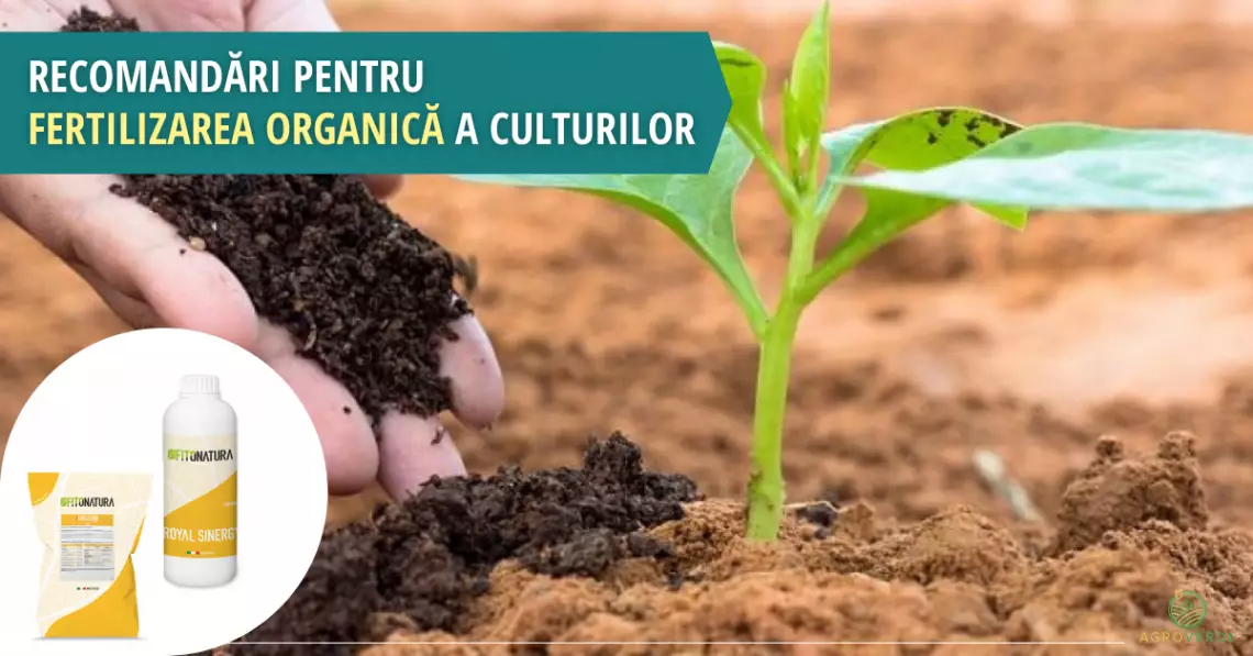 Recomandări pentru fertilizarea organică a culturilor